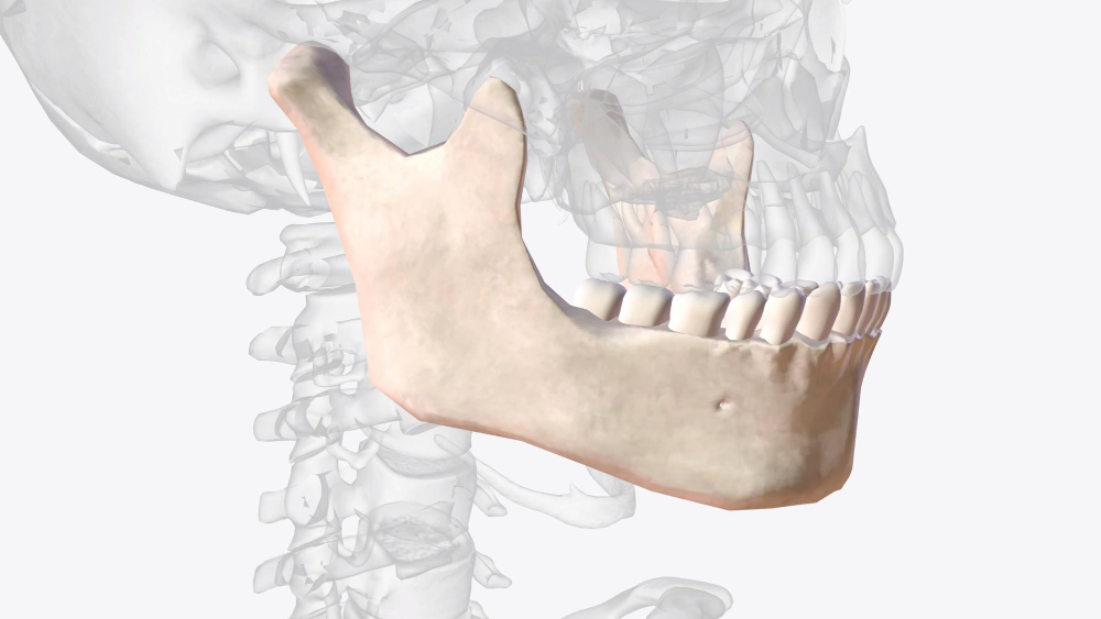  mâchoire qui craque